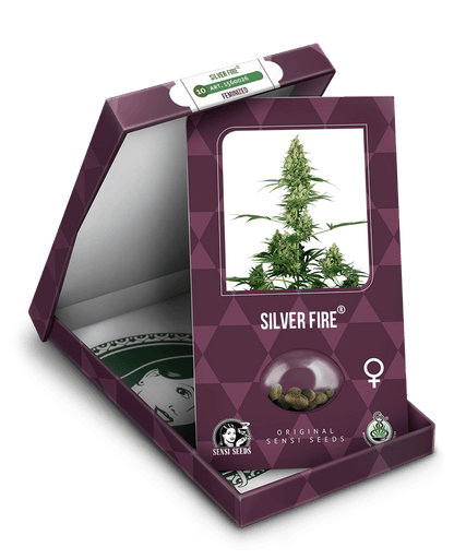 Sensi Seeds Silver Fire