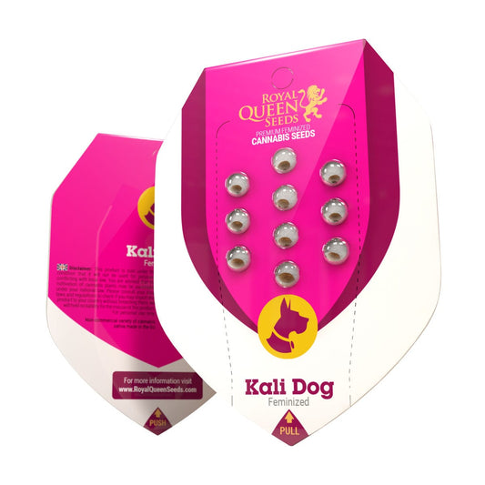 Royal Queen Seeds Kali Dog